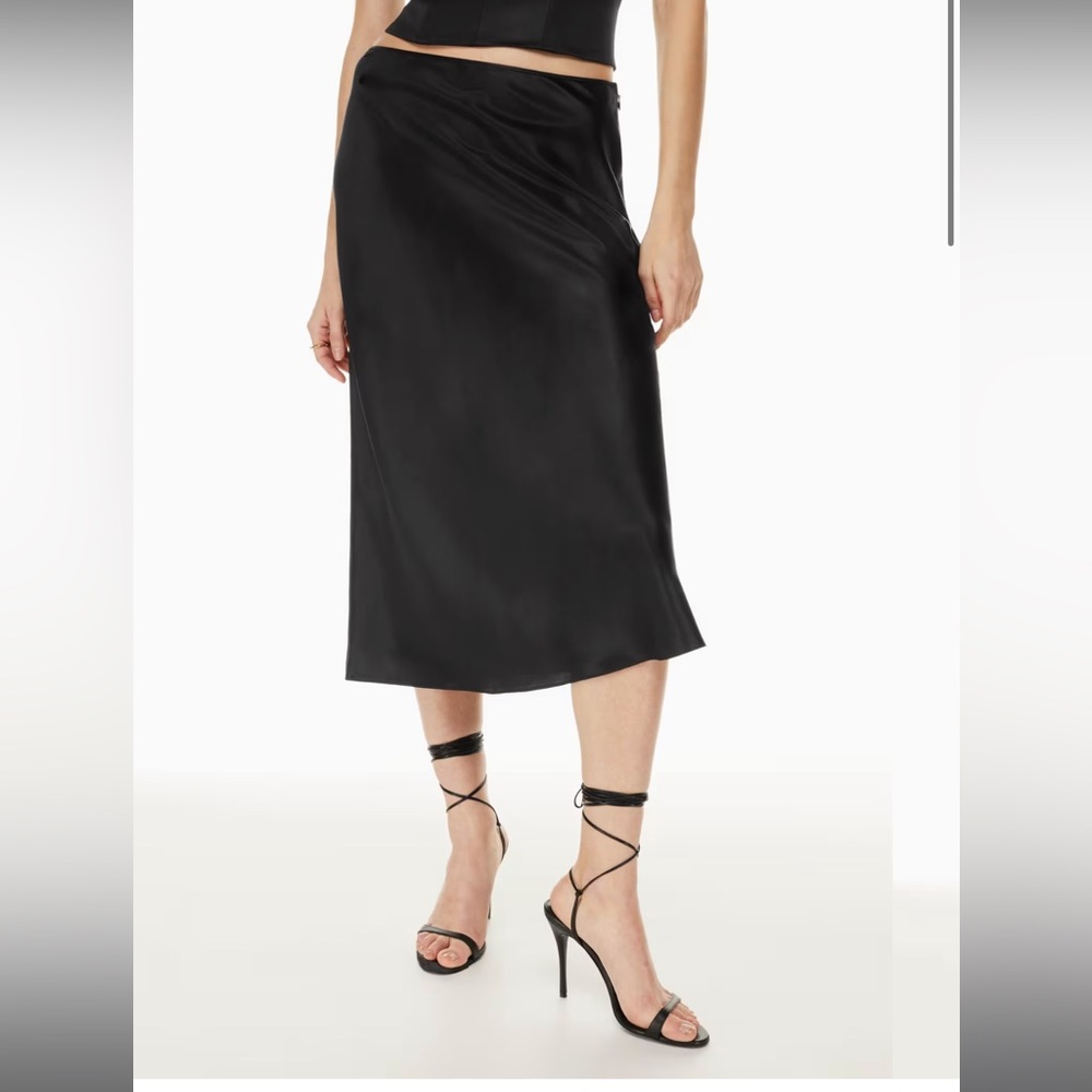 Aritzia “Ambience” Silk Skirt